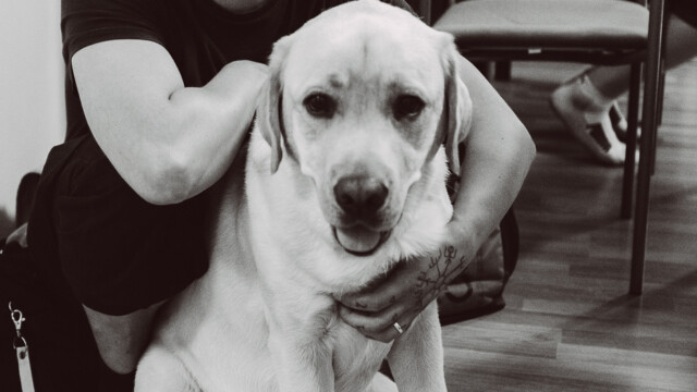 WoN Wednesday - Antti & friendly dog